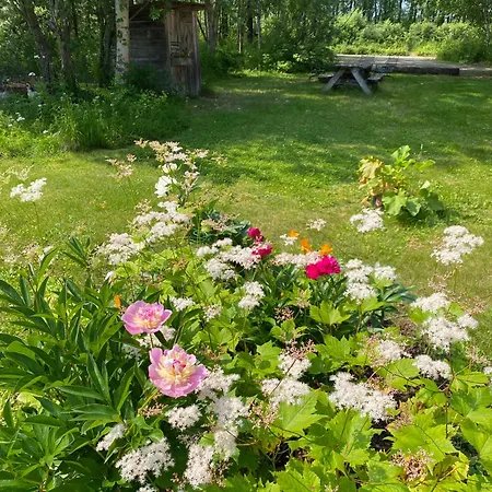 Trapper John'S Cabin & Cottages Talkeetna Exterior photo