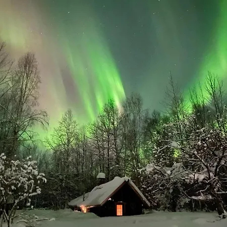 Trapper John'S Cabin & Cottages Talkeetna Exterior photo