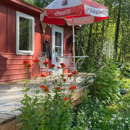 Trapper John'S Cabin & Cottages Talkeetna Exterior photo