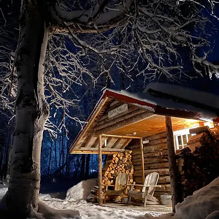 Trapper John'S Cabin & Cottages Talkeetna Exterior photo