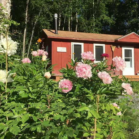 Trapper John'S Cabin & Cottages Talkeetna Exterior photo